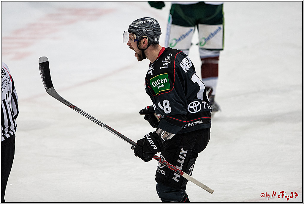 DEL, Koelner Haie - Augsburger Panther, 13.01.2017